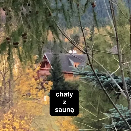 świerkowe Wzgórze - Typu Superior Z Sauną Balią Kominkiem I Domki-bez Sauny Balii Kominka Chalet *